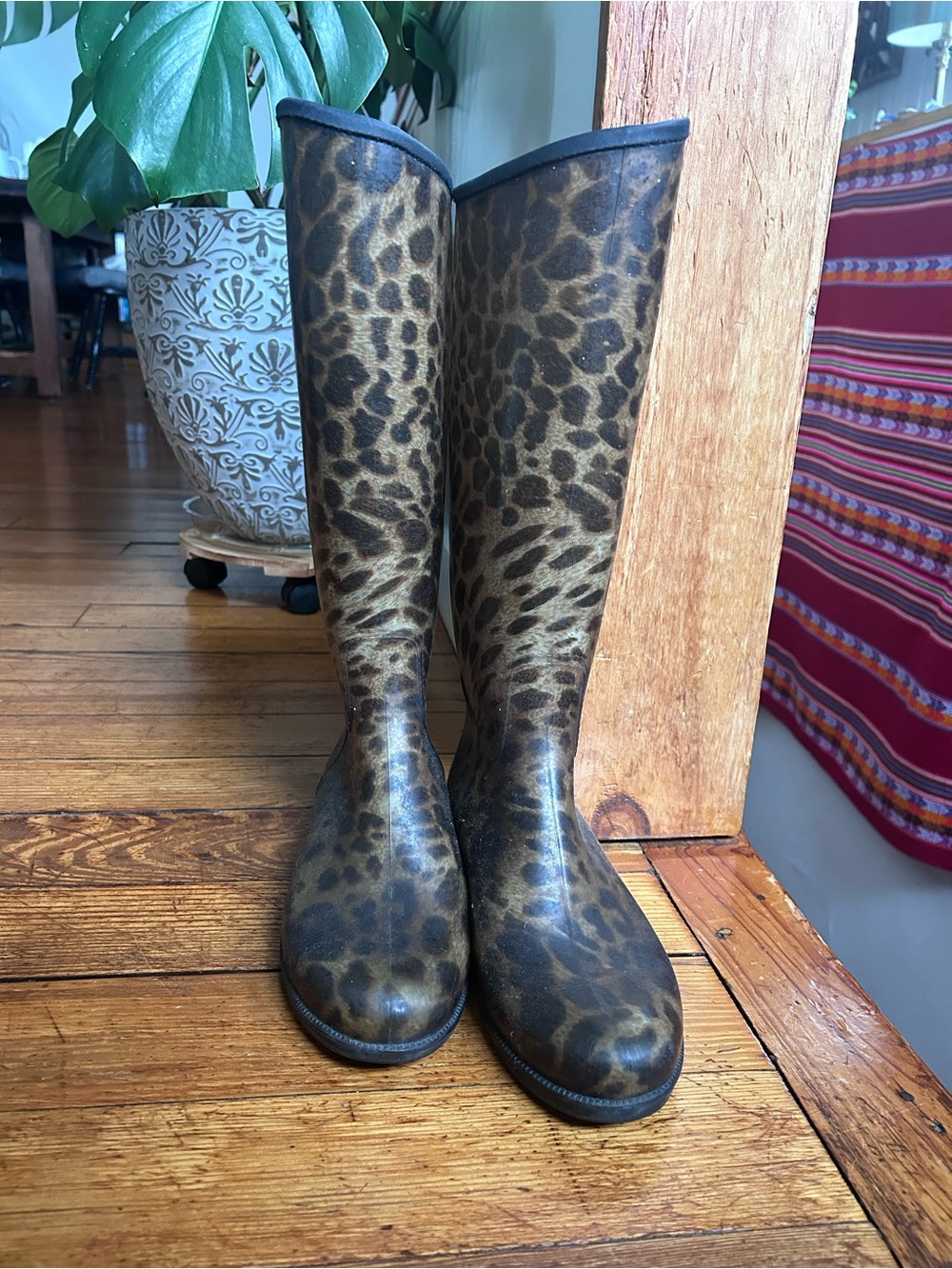 Leopard-Print Tall Rain Boots - Women